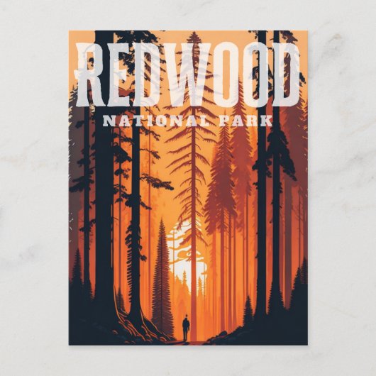 Redwood National Park, CA Postcard Postkarte (Vorderseite)