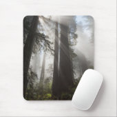 Redwood National Park California Mousepad (Mit Mouse)