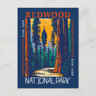 Redwood National Park California Retro Not leidend Postkarte