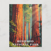 Redwood National Park, California Travel Postcard Postkarte (Vorderseite)