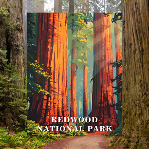 Redwood National Park, California Travel Postcard Postkarte
