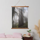 Redwood National Park California Wandteppich Mit Holzrahmen (Schlafzimmer)