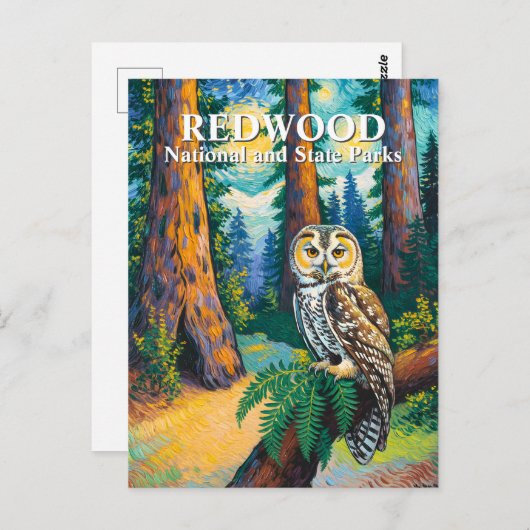 Redwood National Park Forest Owl Van Gogh Style Postkarte (Vorne/Hinten)
