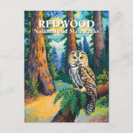 Redwood National Park Forest Owl Van Gogh Style Postkarte
