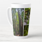 Redwood National Park Foto Milchtasse (Linke Ecke)
