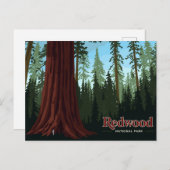 Redwood National Park Giant Tree Art Postkarte (Vorne/Hinten)
