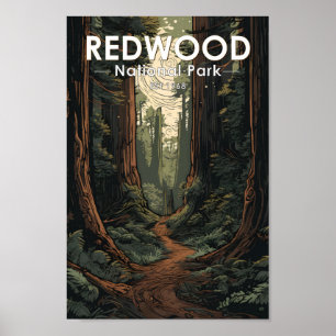 Redwood National Park Illustration Trail Vintag Poster