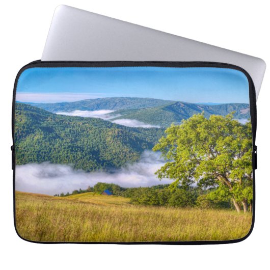 Redwood National Park, Kalifornien Laptopschutzhülle (Vorderseite)