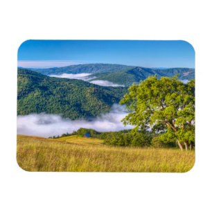 Redwood National Park, Kalifornien Magnet