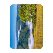 Redwood National Park, Kalifornien Magnet (Vertikal)