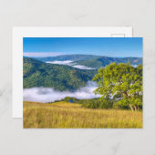 Redwood National Park, Kalifornien Postkarte (Vorne/Hinten)