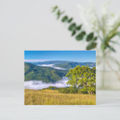 Redwood National Park, Kalifornien Postkarte (Stehend Vorderseite)