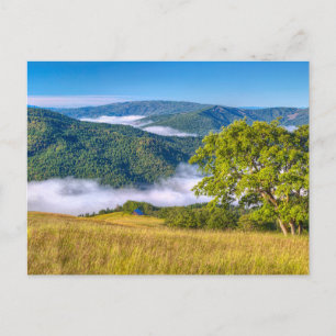Redwood National Park, Kalifornien Postkarte