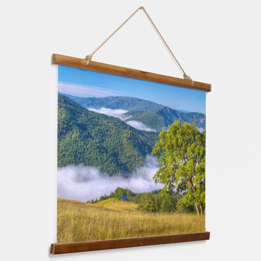 Redwood National Park, Kalifornien Wandteppich Mit Holzrahmen (Gewinkelt)