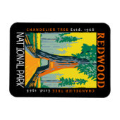 Redwood National Park Khandelier Tree erschüttert Magnet (Horizontal)