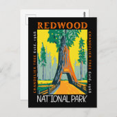 Redwood National Park Khandelier Tree erschüttert Postkarte (Vorne/Hinten)