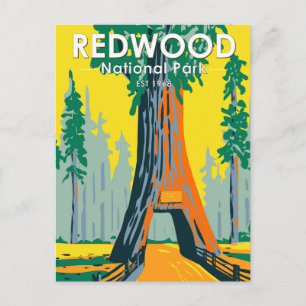Redwood National Park Kronleuchter Baum Vintage Postkarte