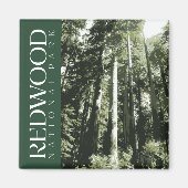 Redwood National Park Magnet (Vorne)