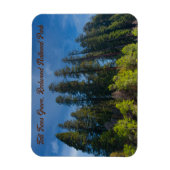Redwood National Park Tall Trees Grove Magnet (Vertikal)