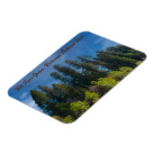 Redwood National Park Tall Trees Grove Magnet (Linke Seite)