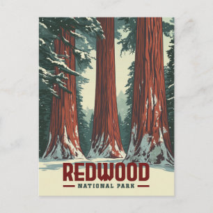 Redwood National Park - Vintage Kalifornien Postkarte