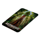 Redwood National Staat Park, Küste Kalifornien Magnet (Linke Seite)