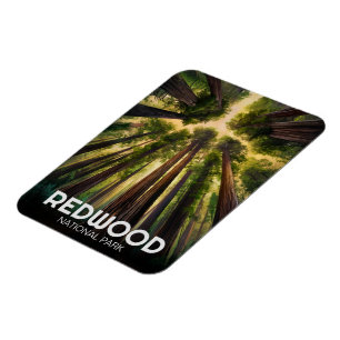 Redwood National Staat Park, Küste Kalifornien Magnet