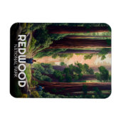 Redwood National Staat Park, Küste Kalifornien Magnet (Horizontal)