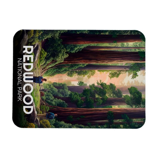 Redwood National Staat Park, Küste Kalifornien Magnet (Horizontal)