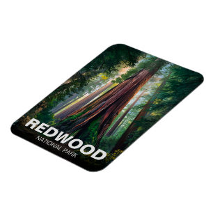 Redwood National Staat Park, Küste Kalifornien Magnet