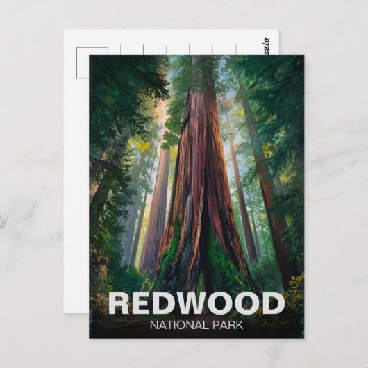 Redwood National Staat Park, Küste Kalifornien Postkarte (Vorne/Hinten)