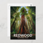 Redwood National Staat Park, Küste Kalifornien Postkarte (Vorne/Hinten)