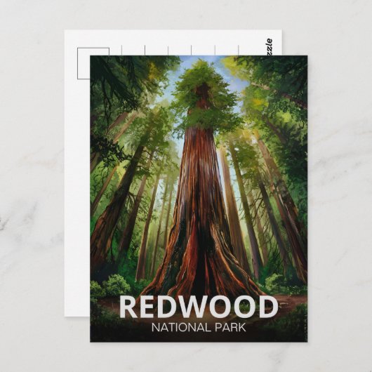 Redwood National Staat Park, Küste Kalifornien Postkarte (Vorne/Hinten)