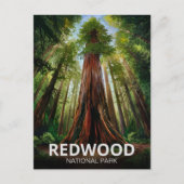 Redwood National Staat Park, Küste Kalifornien Postkarte (Vorderseite)