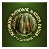 Redwood National & Staat Parks (NP2) Poster (Vorderseite)