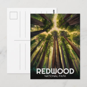 Redwood National State Park, Küstenkalifornien Postkarte