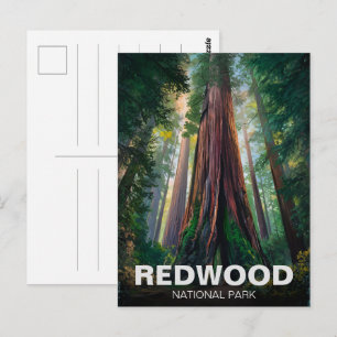 Redwood National State Park, Küstenkalifornien Postkarte