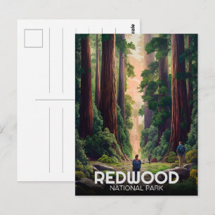 Redwood National State Park, Küstenkalifornien Postkarte