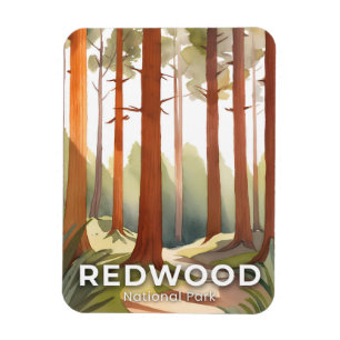 Redwood-Nationalpark Aquarell-Reise Kunst Magnet