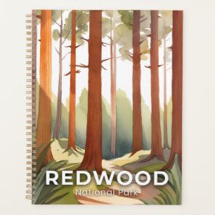 Redwood-Nationalpark   Aquarell-Reise-Kunst Planer