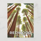 Redwood-Nationalpark | Aquarellwald Postkarte (Vorderseite)