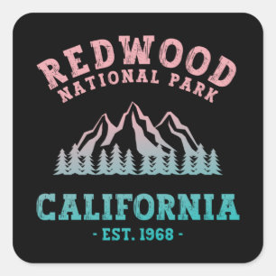 Redwood Nationalpark California Gradient Quadratischer Aufkleber