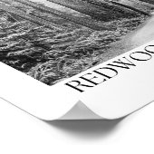 Redwood Nationalpark California Poster (Ecke)