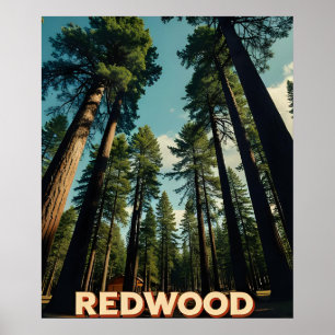 Redwood Nationalpark California Vintag Poster