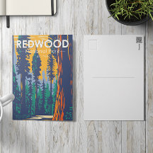 Redwood Nationalpark California Vintag