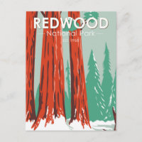 Redwood-Nationalpark im Winter California Vintag