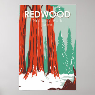 Redwood Nationalpark im Winter Kalifornien Vintage Poster