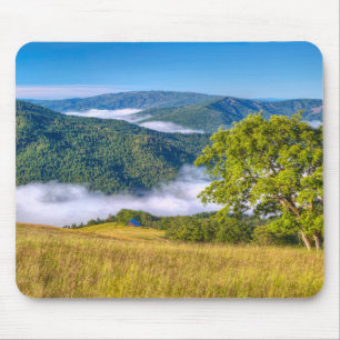 Redwood-Nationalpark, Kalifornien Mousepad