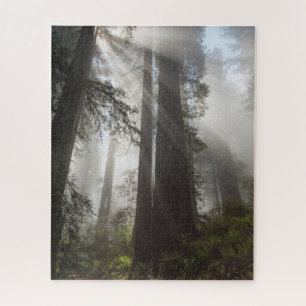Redwood-Nationalpark Kalifornien Puzzle