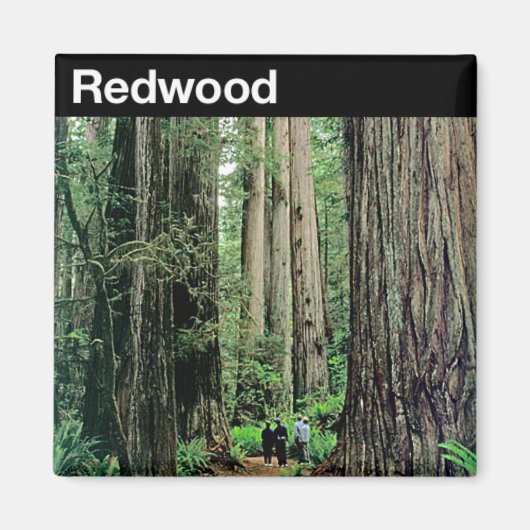 Redwood-Nationalpark Magnet (Vorne)